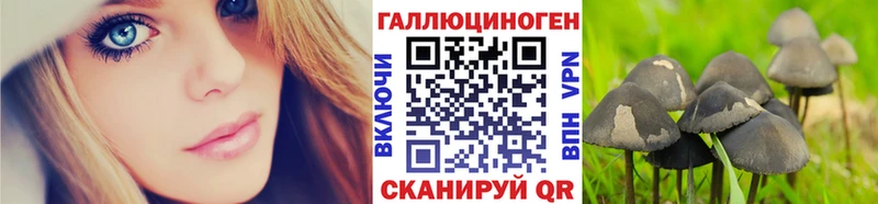 Купить  Ефремов  Псилоцибиновые грибы прущие грибы 